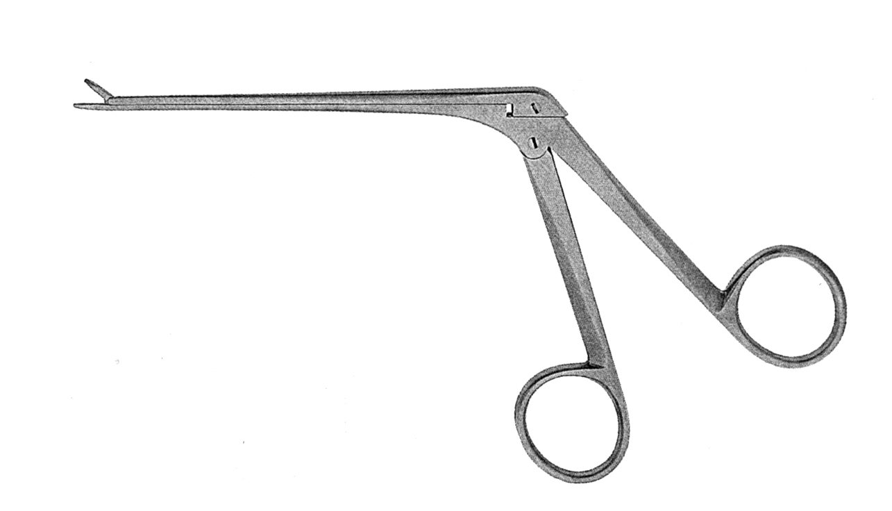 WEIL BLAKESLEY RONJUR 4.8 MM